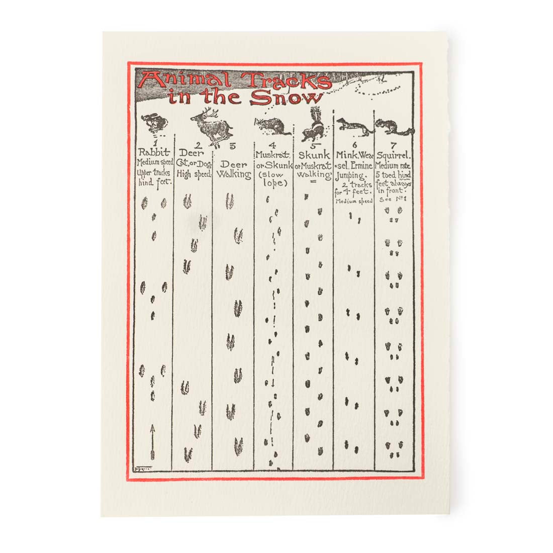Animal Tracks Holiday Boxed Cards