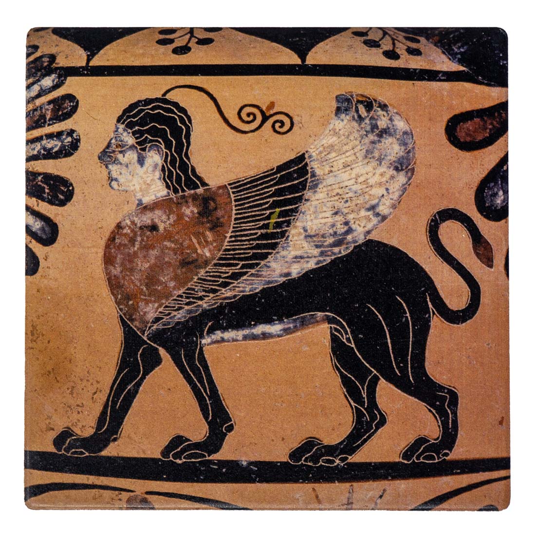 Caeretan Hydria Detail Coaster