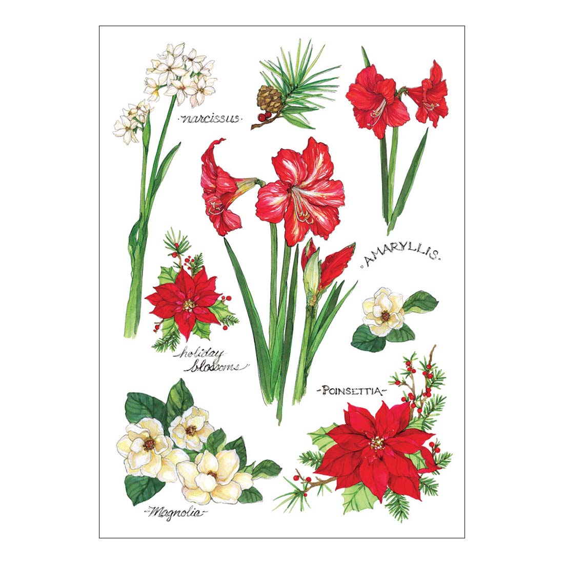 Winter Blossoms Holiday Boxed Cards