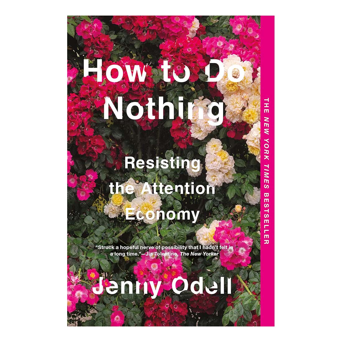 How to Do Nothing: Resisting the Attention Economy