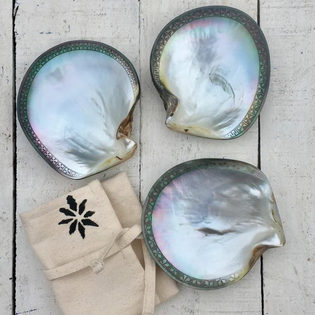 Shell Dish
