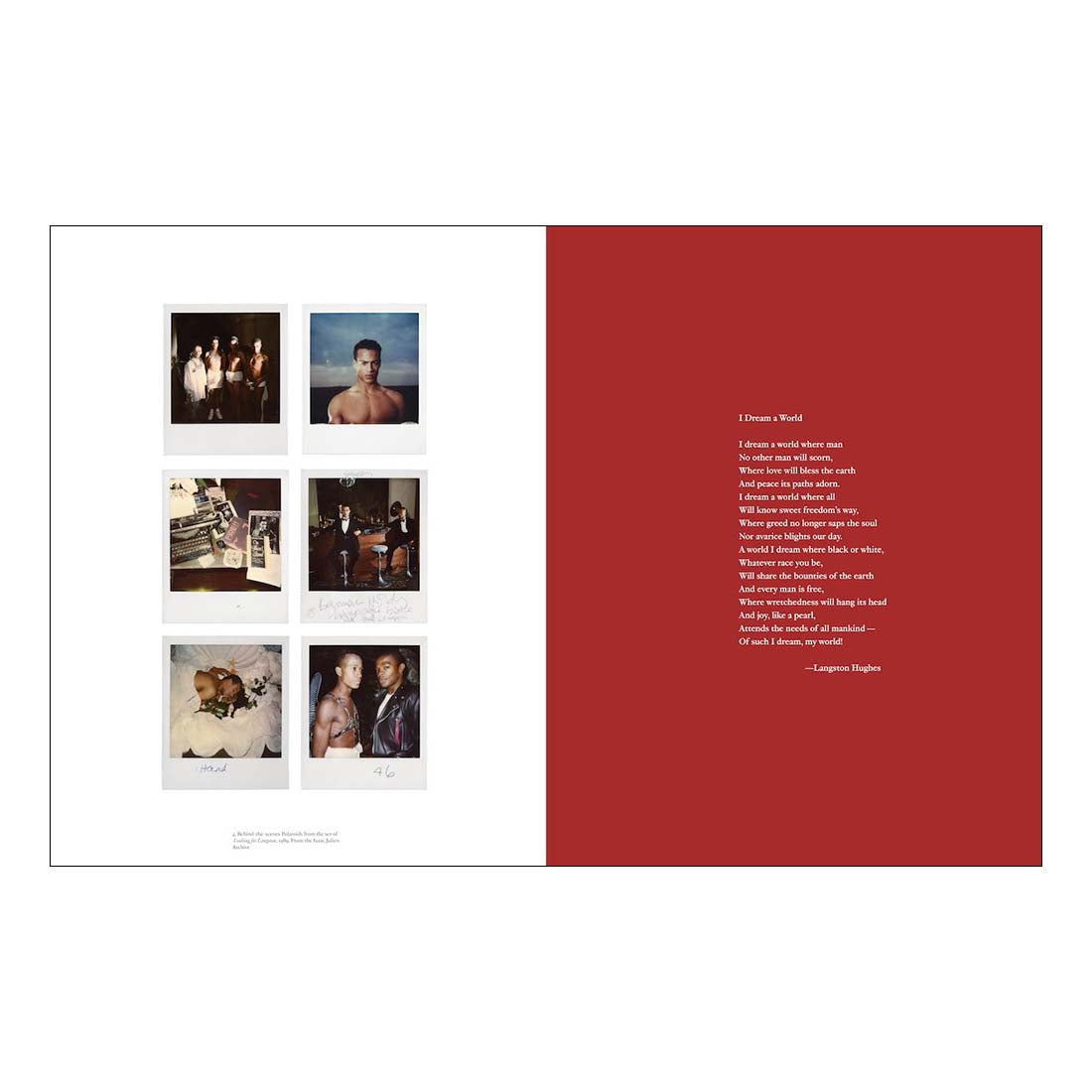 Book cover of 'I Dream A World' by Isaac Julien with images of landscapes and a person on a red background.