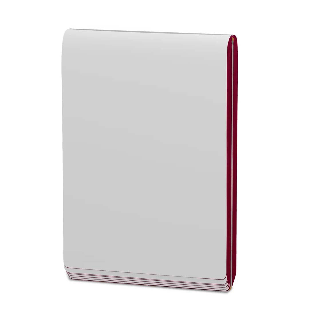 Hilma af Klint Pocket Journal