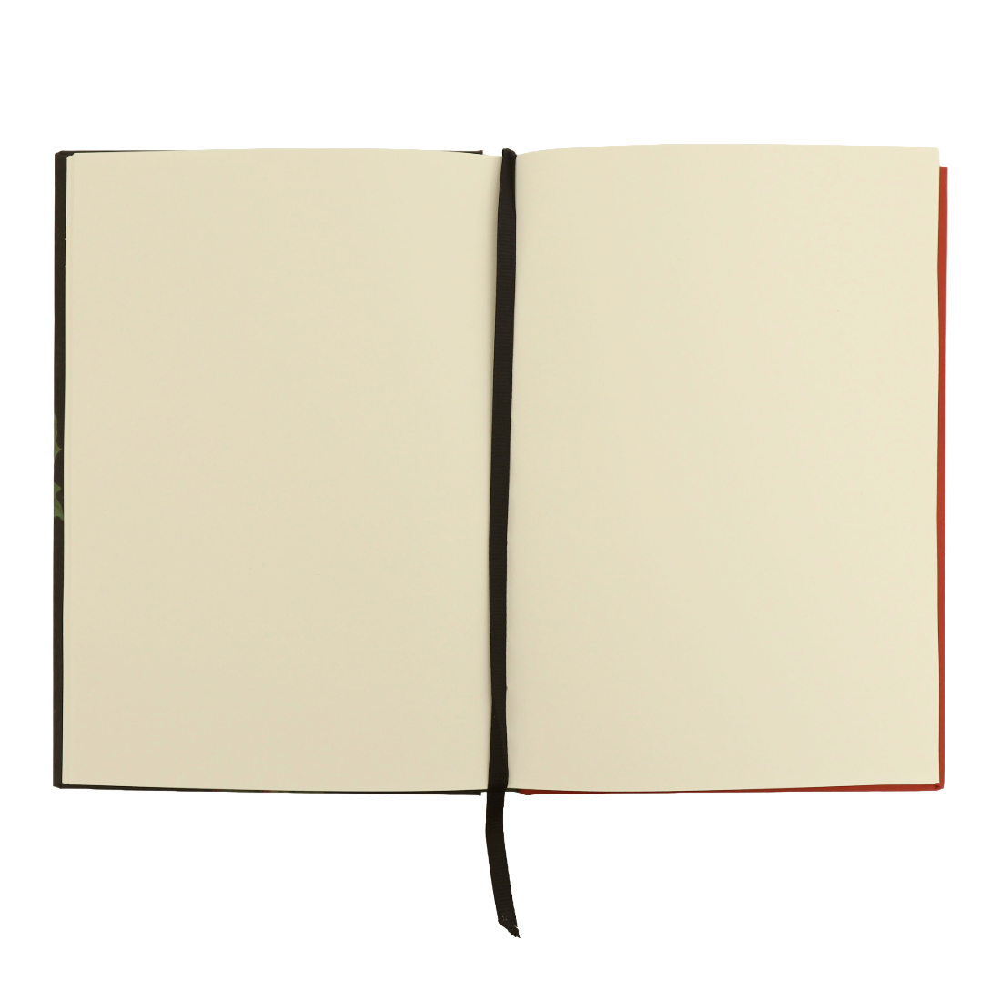 Dietzsch A Dandelion with a Tiger Moth Large Journal