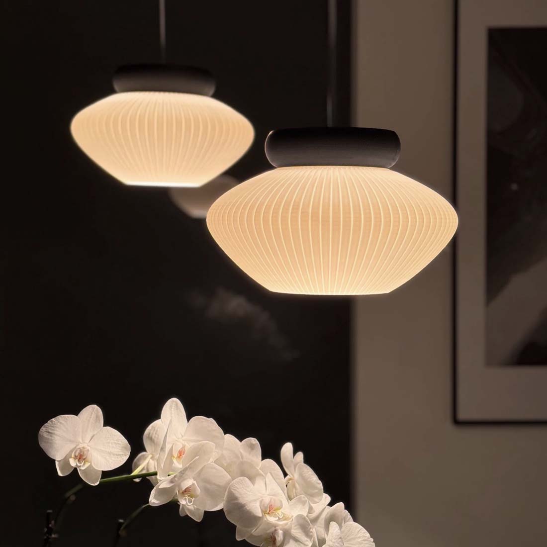 Santal Ash Lily Omni