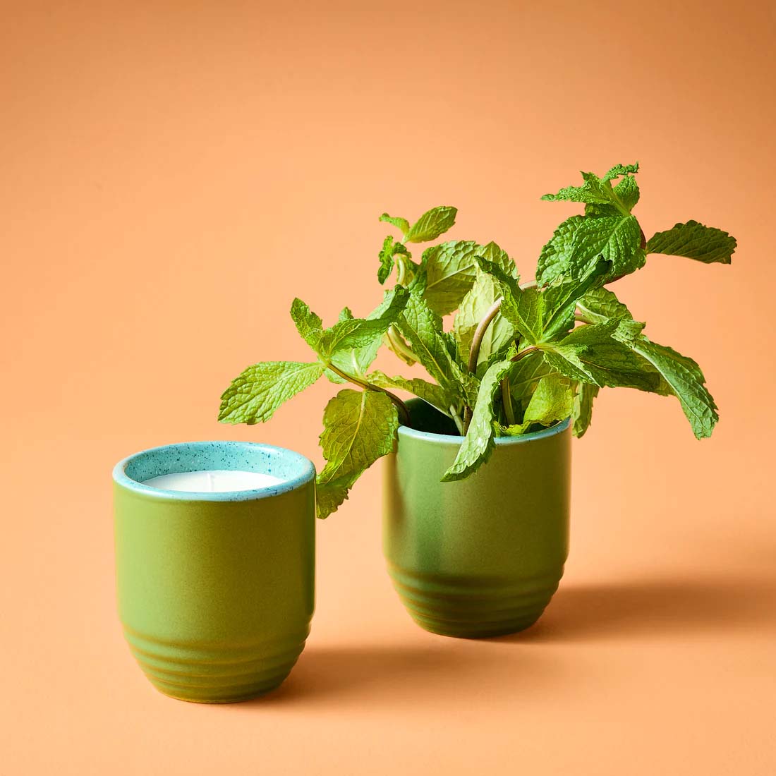 A candle and planter product packaging with an image of a green plant, text detailing product usage and benefits, branding, and product information.