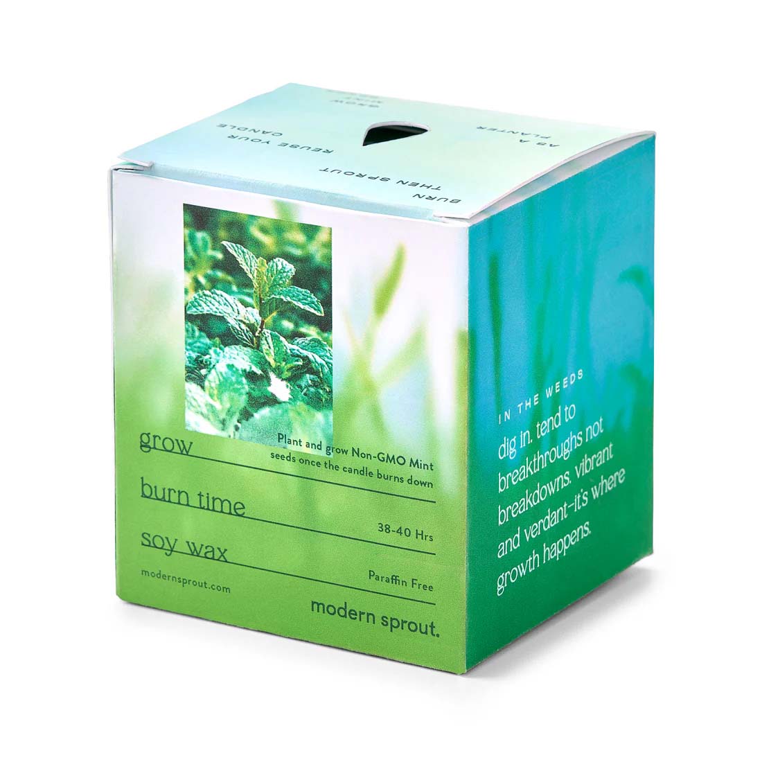 A candle and planter product packaging with an image of a green plant, text detailing product usage and benefits, branding, and product information.