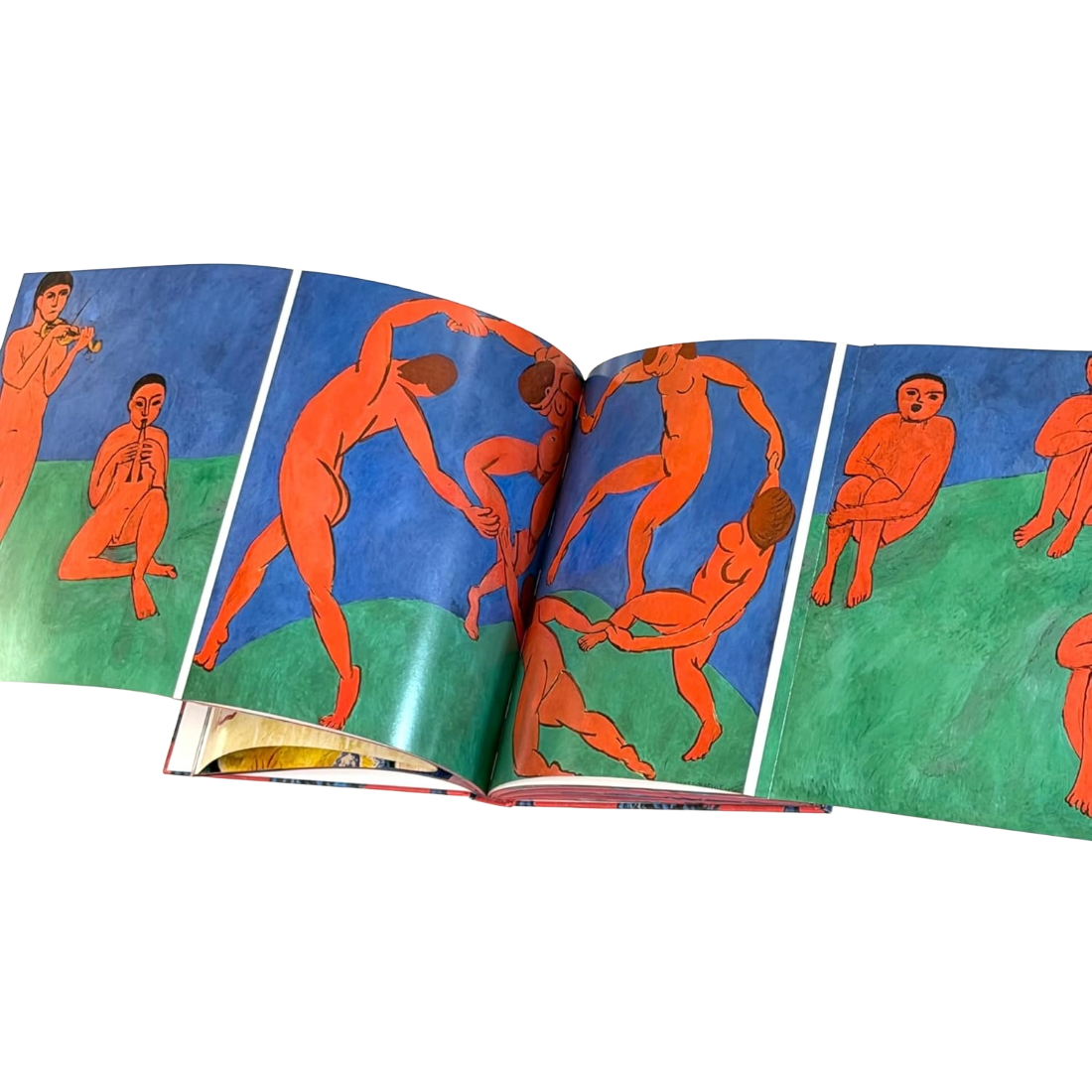 Matisse: The Bigger Picture