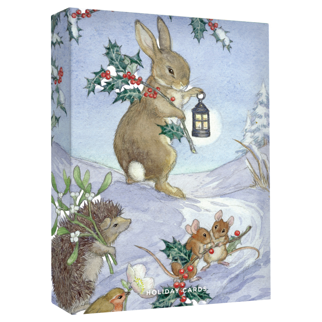Molly Brett: Christmas Animals Small Holiday Cards