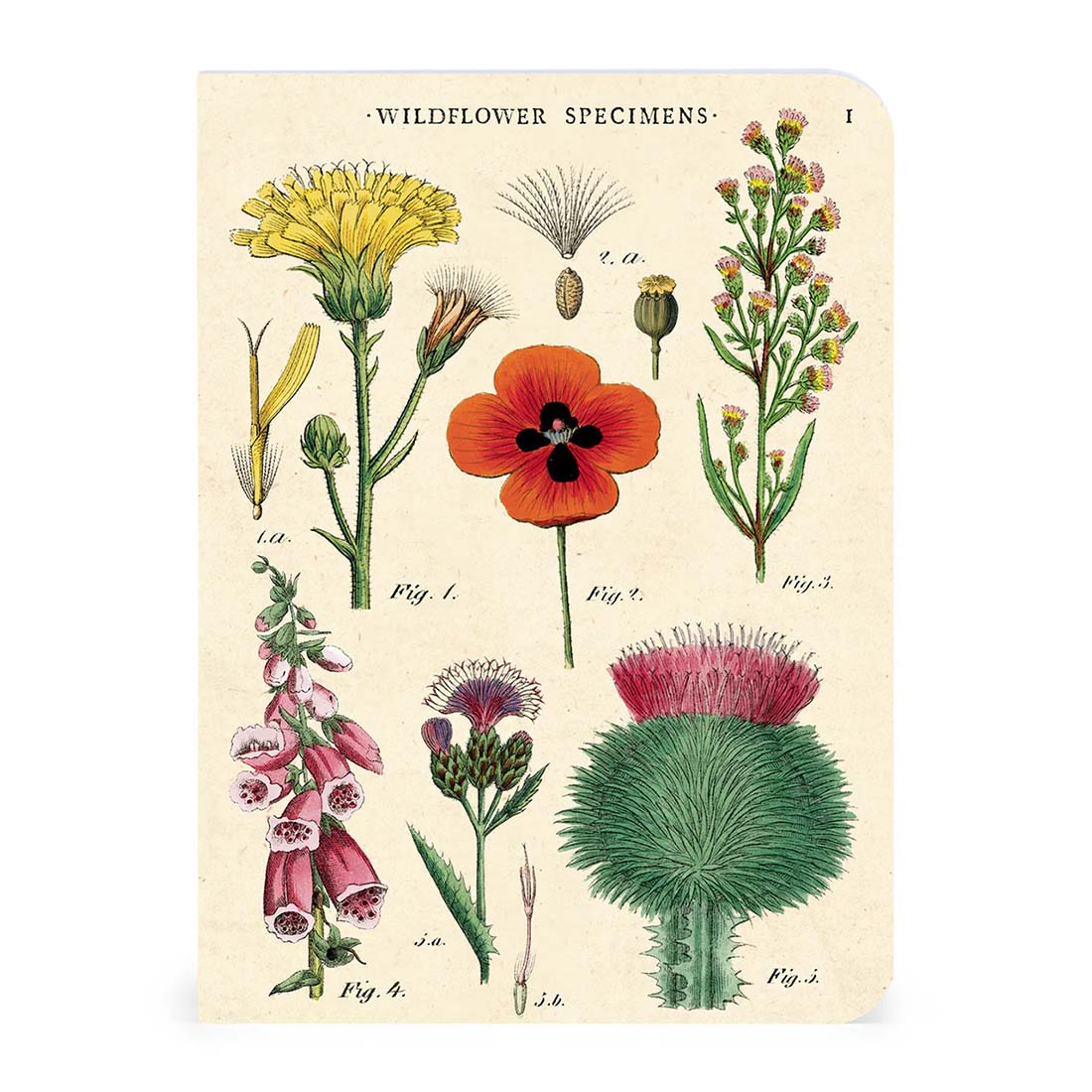 Wildflowers Mini Notebook Set