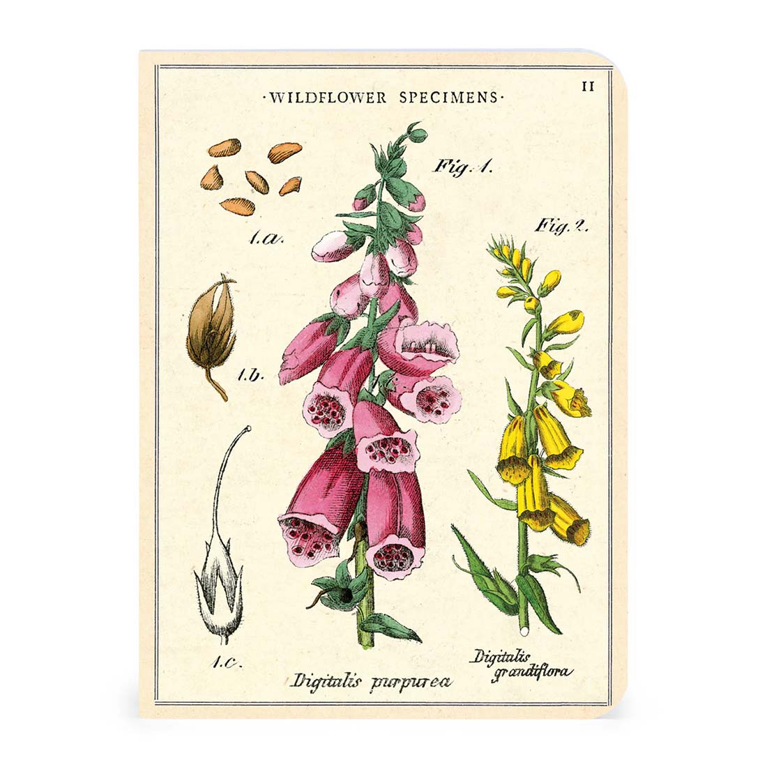 Wildflowers Mini Notebook Set