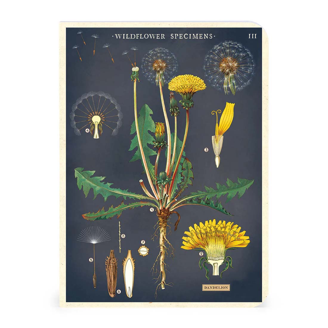 Wildflowers Mini Notebook Set