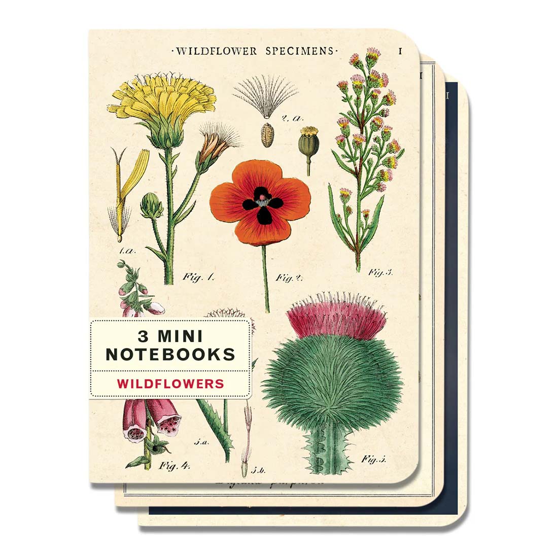 Wildflowers Mini Notebook Set