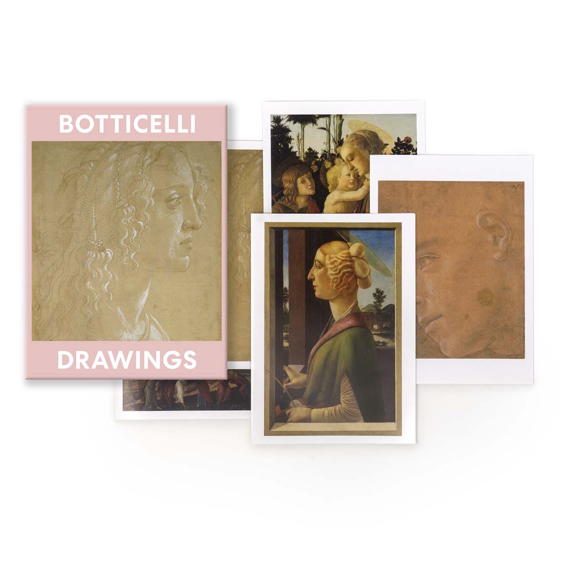 Botticelli Drawings Boxed Notecards