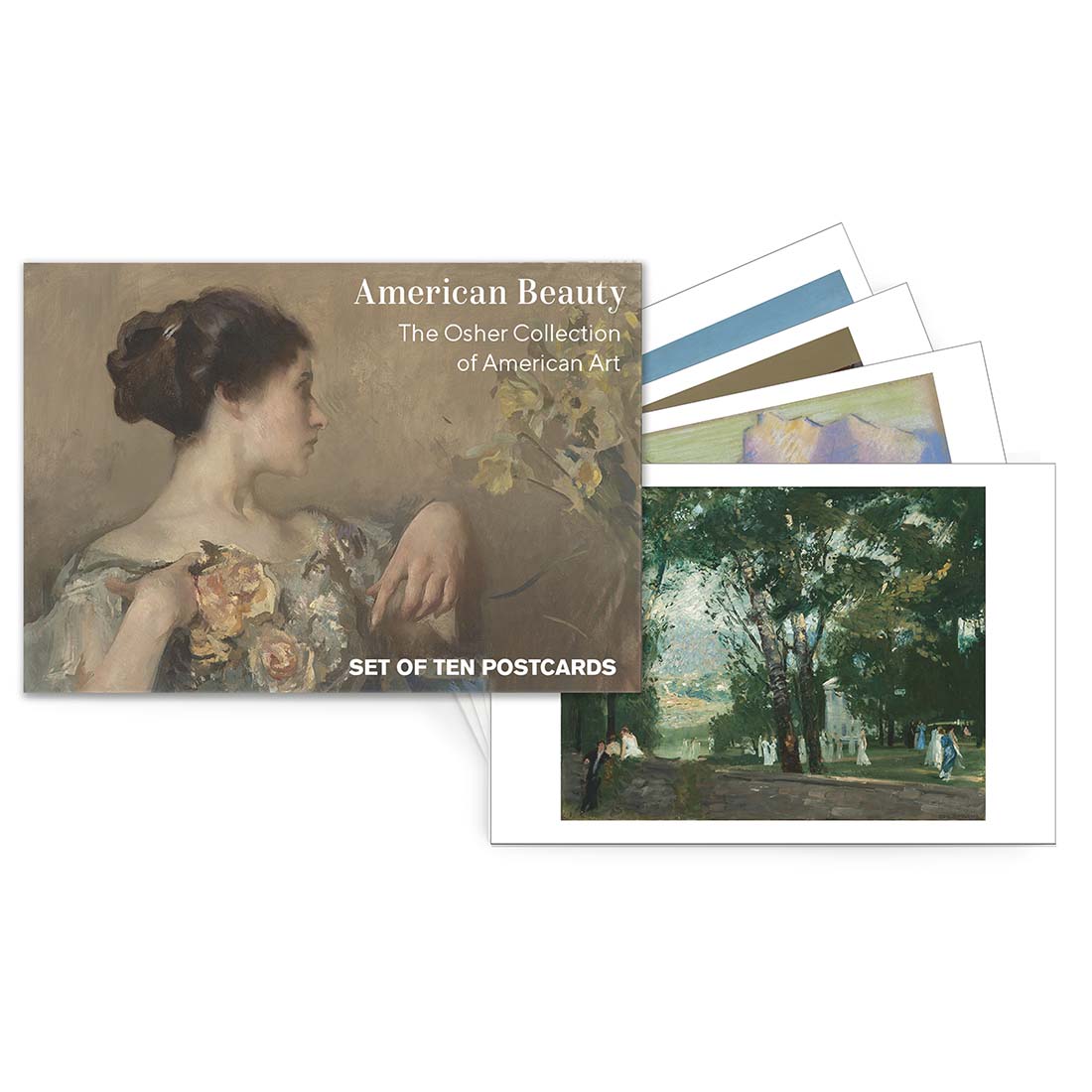 American Beauty Set of 10 Postcards