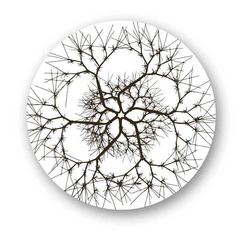 Ruth Asawa Flora Untitled Placemat