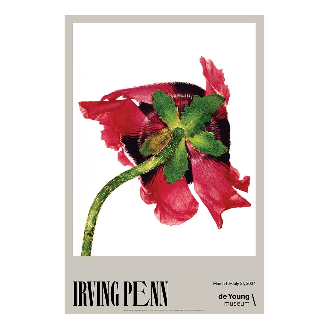 Irving Penn Single Oriental Poppy Poster