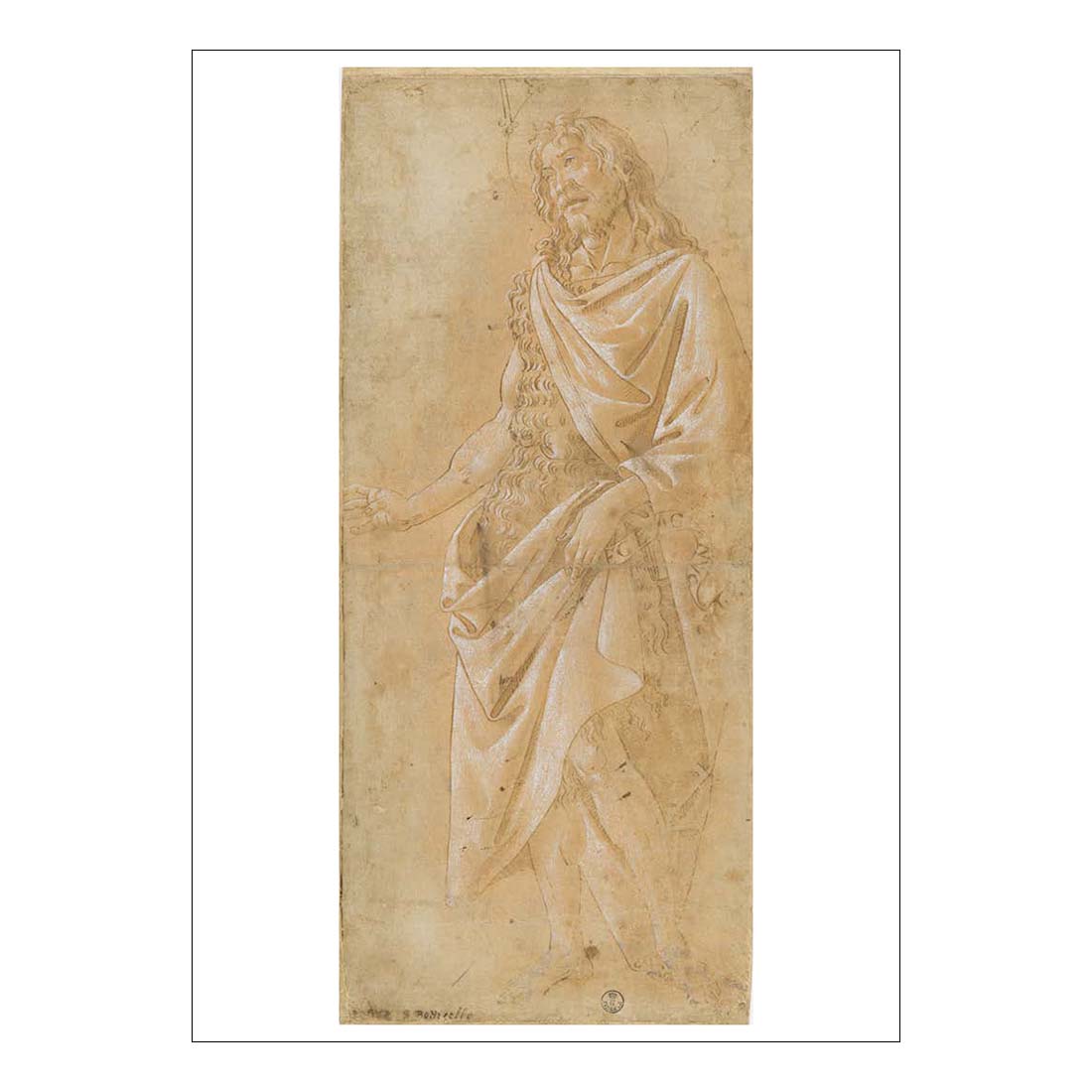 Botticelli Saint John the Baptist Postcard