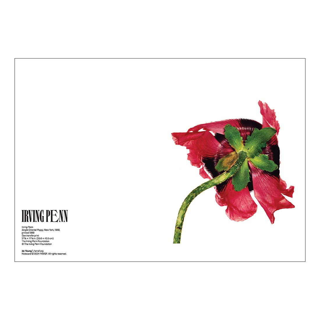 Irving Penn Boxed Notecards - de Young & Legion of Honor Museum Stores