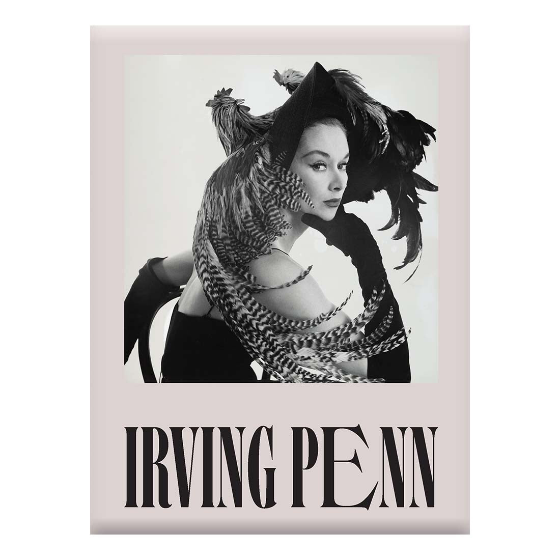 Irving Penn Boxed Notecards - de Young & Legion of Honor