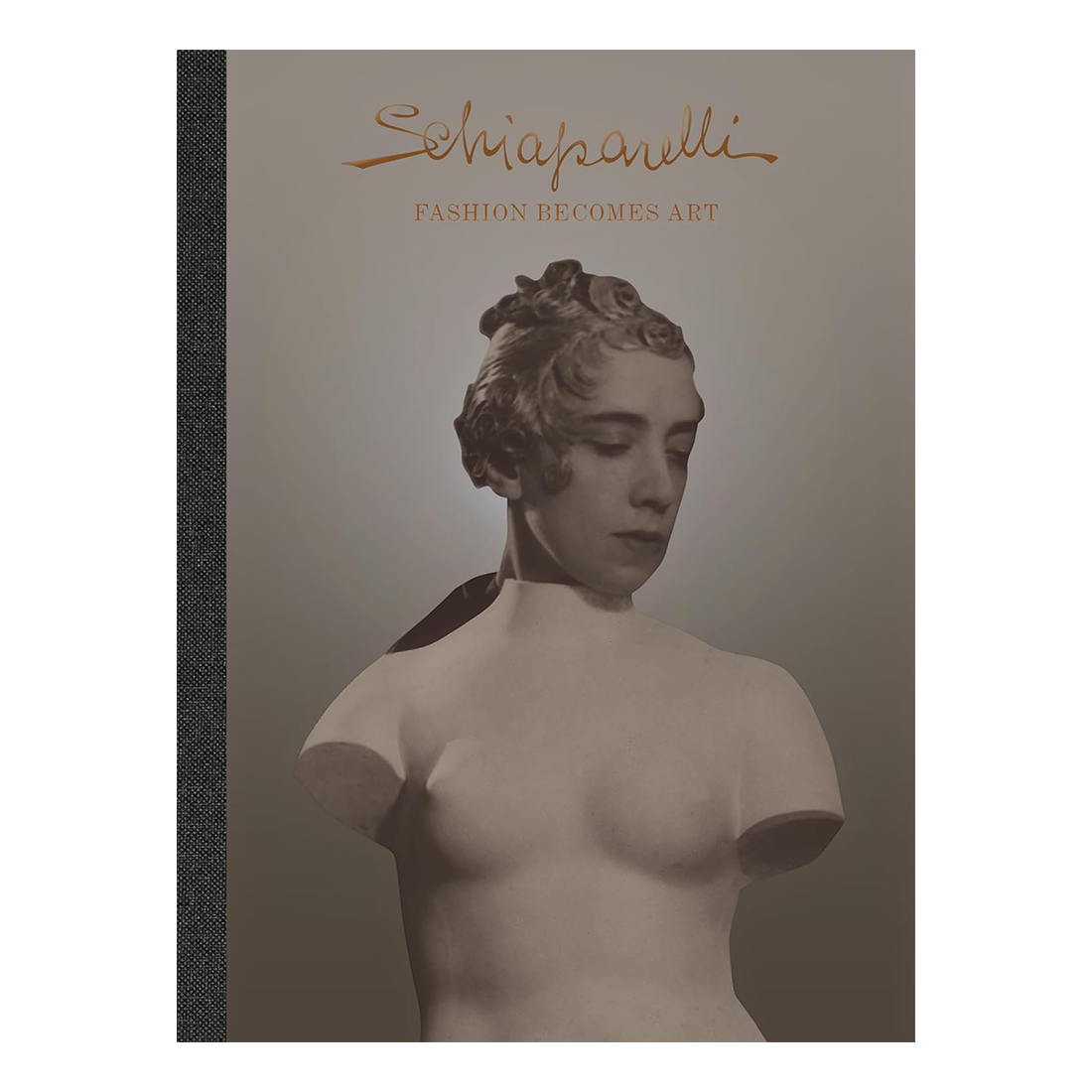 Book cover with a vintage-style illustration of a woman and the Schiaparelli logo.