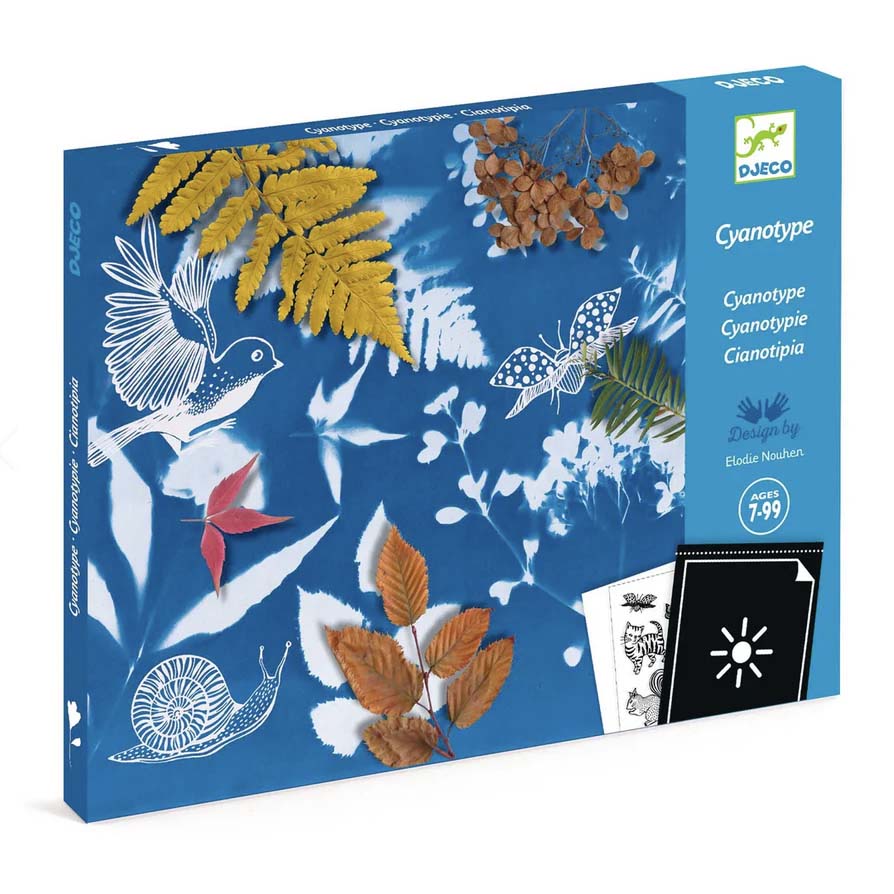 Cyanotype Starter kit