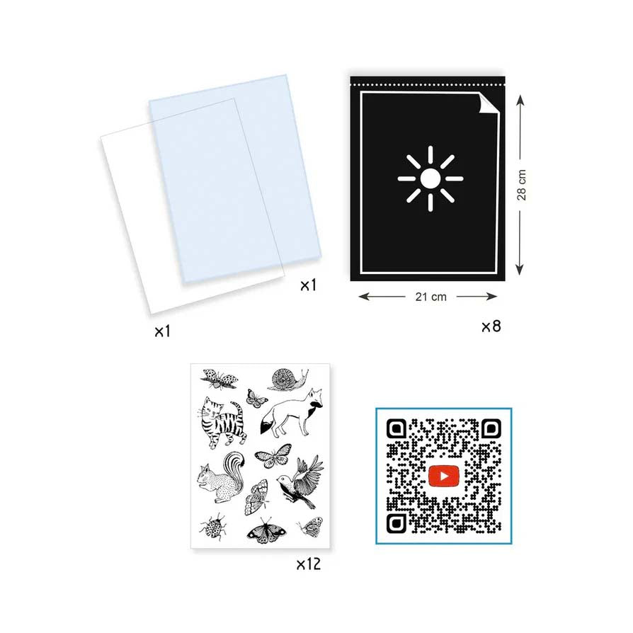 Cyanotype Starter kit