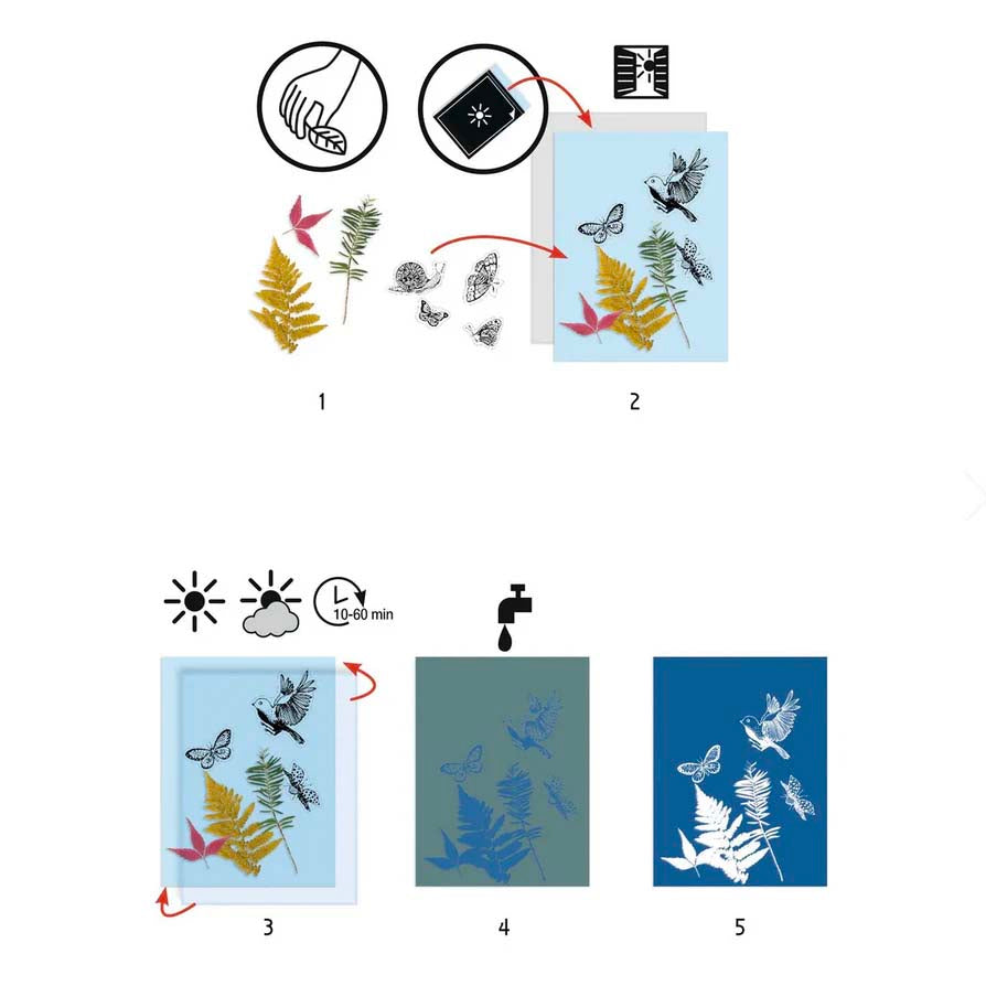 Cyanotype Starter kit