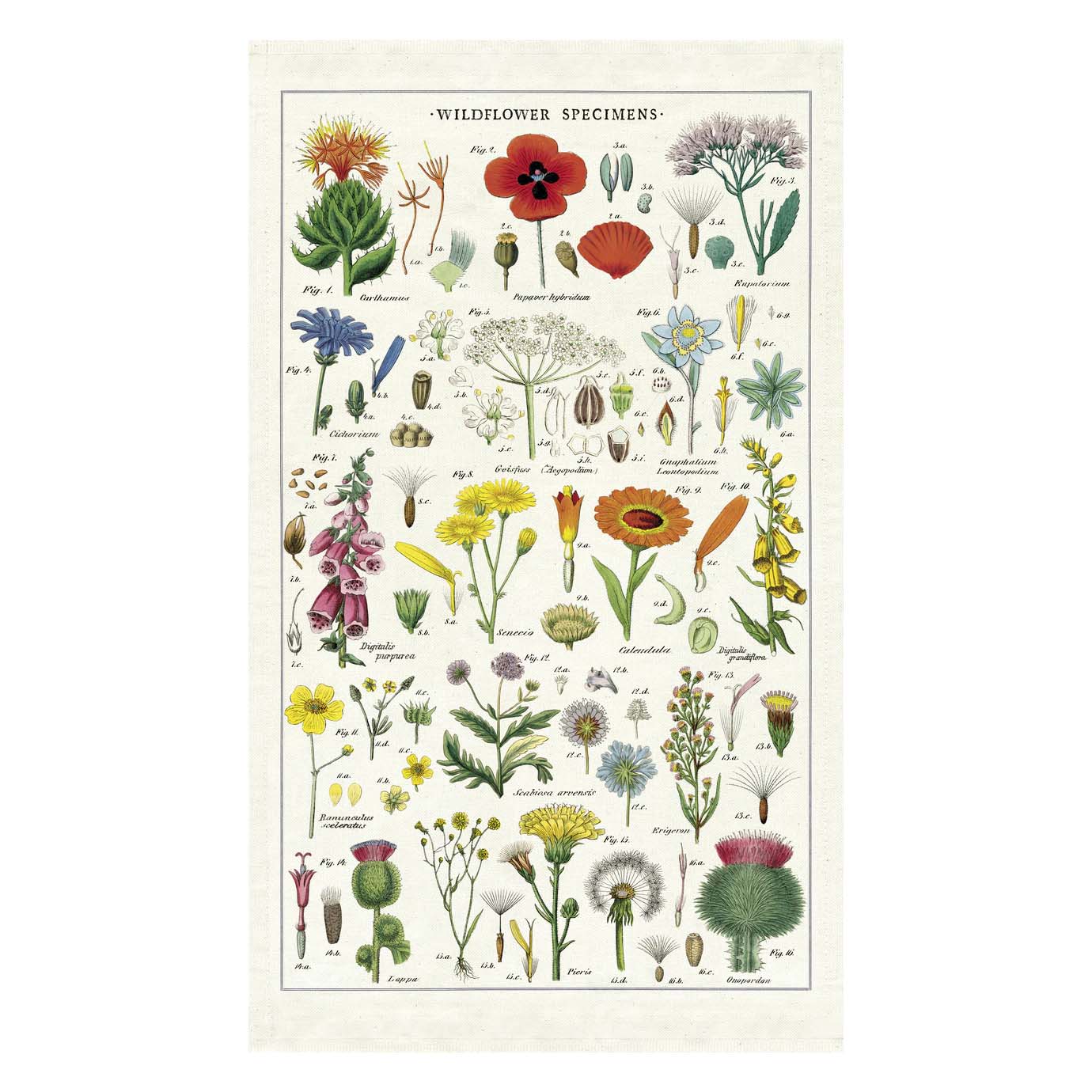 A tea towel with a printed wildflower design, displayed flat.