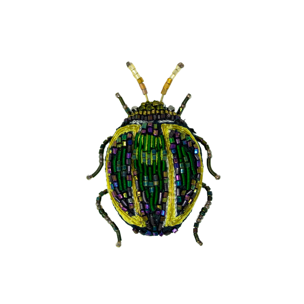 Tortoise Beetle Brooch