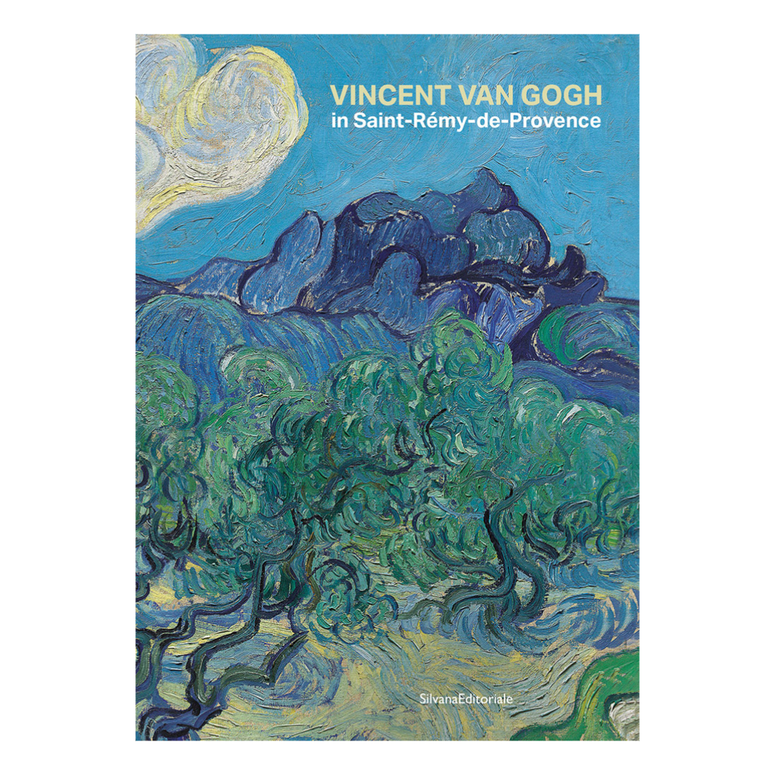Vincent Van Gogh in Saint-Remy-de-Provence