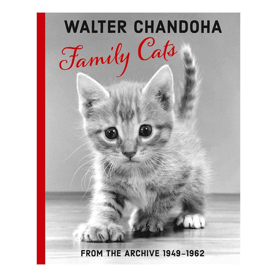 Book cover of 'Family Cats' by Walter Chandoha featuring a kitten on a gray background with red border.
