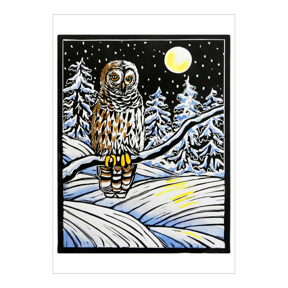 Molly Hashimoto: Winter Birds Holiday Boxed Cards