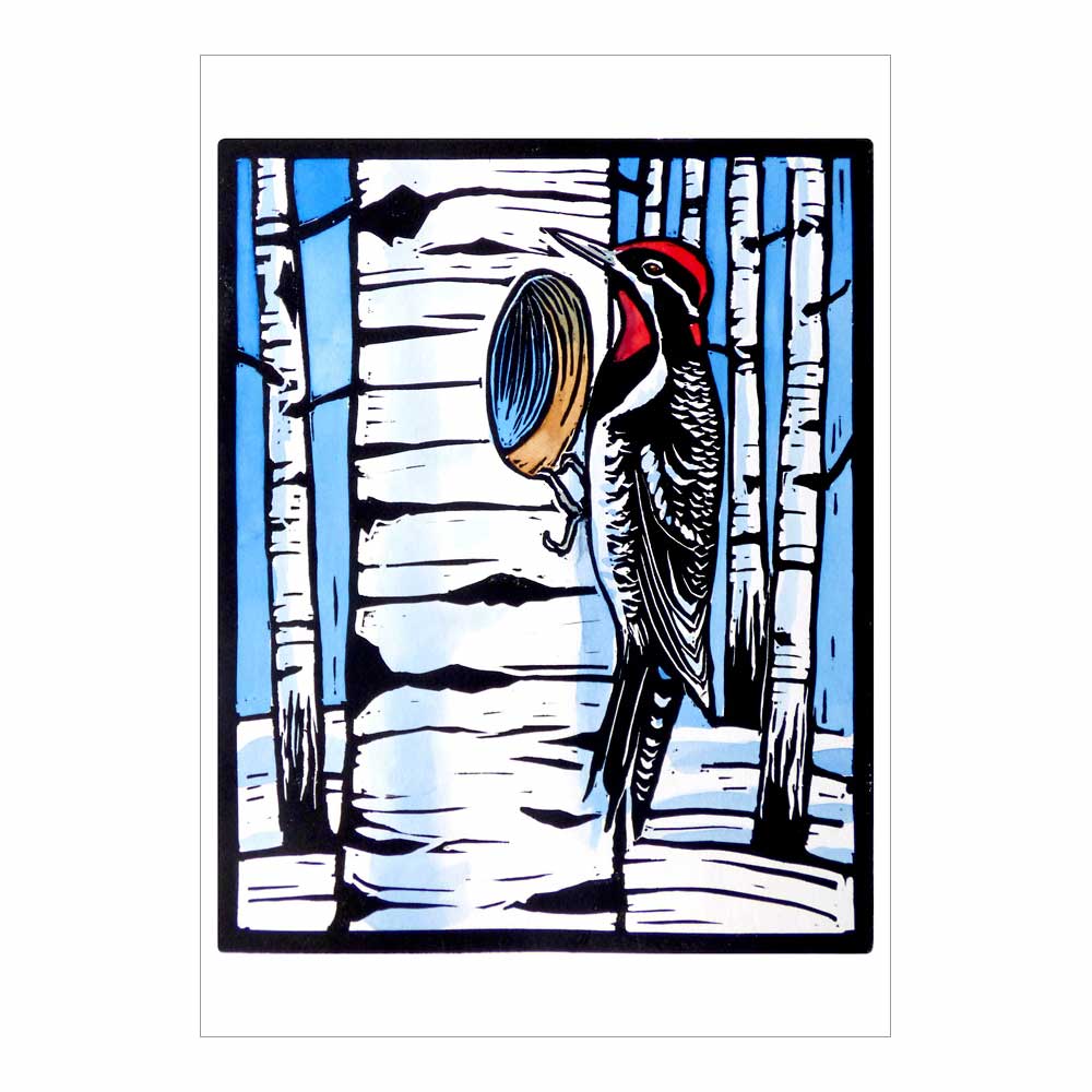 Molly Hashimoto: Winter Birds Holiday Boxed Cards