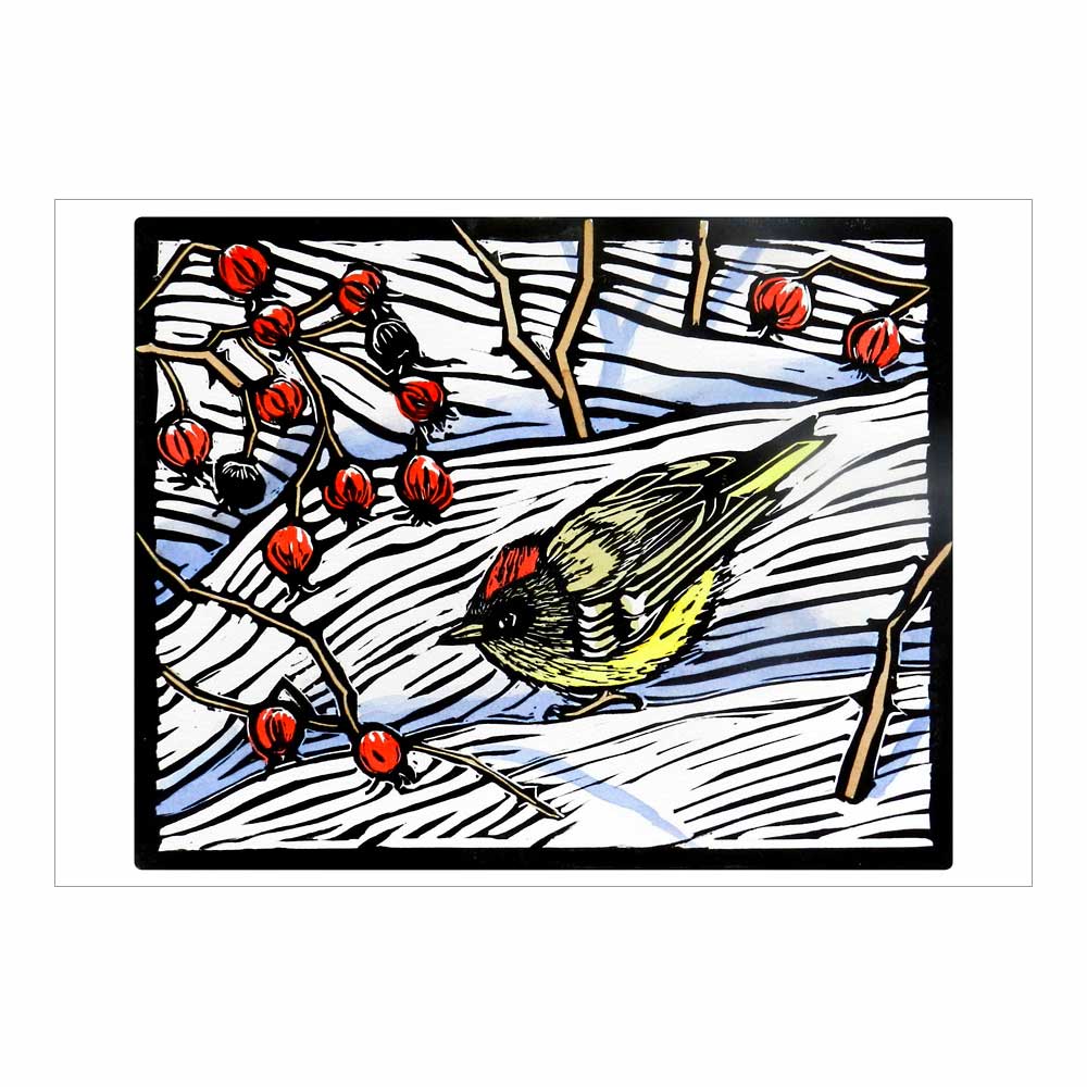Molly Hashimoto: Winter Birds Holiday Boxed Cards