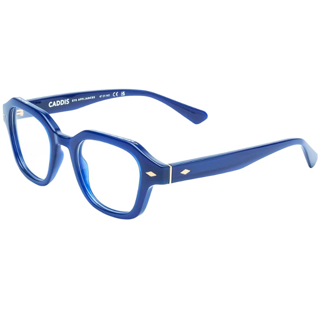 Blue eyeglasses side profile