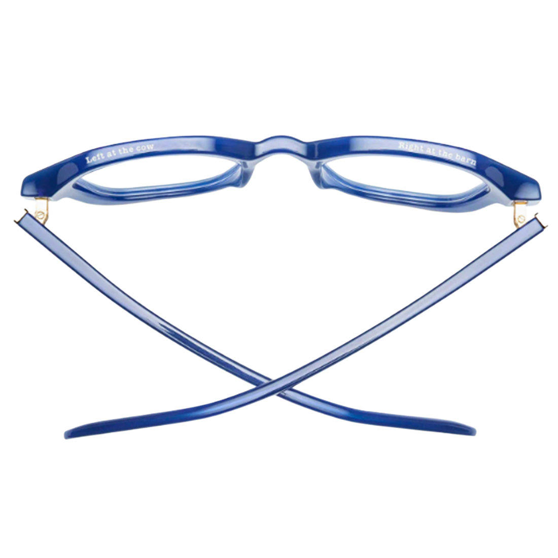 Blue eyeglasses top view