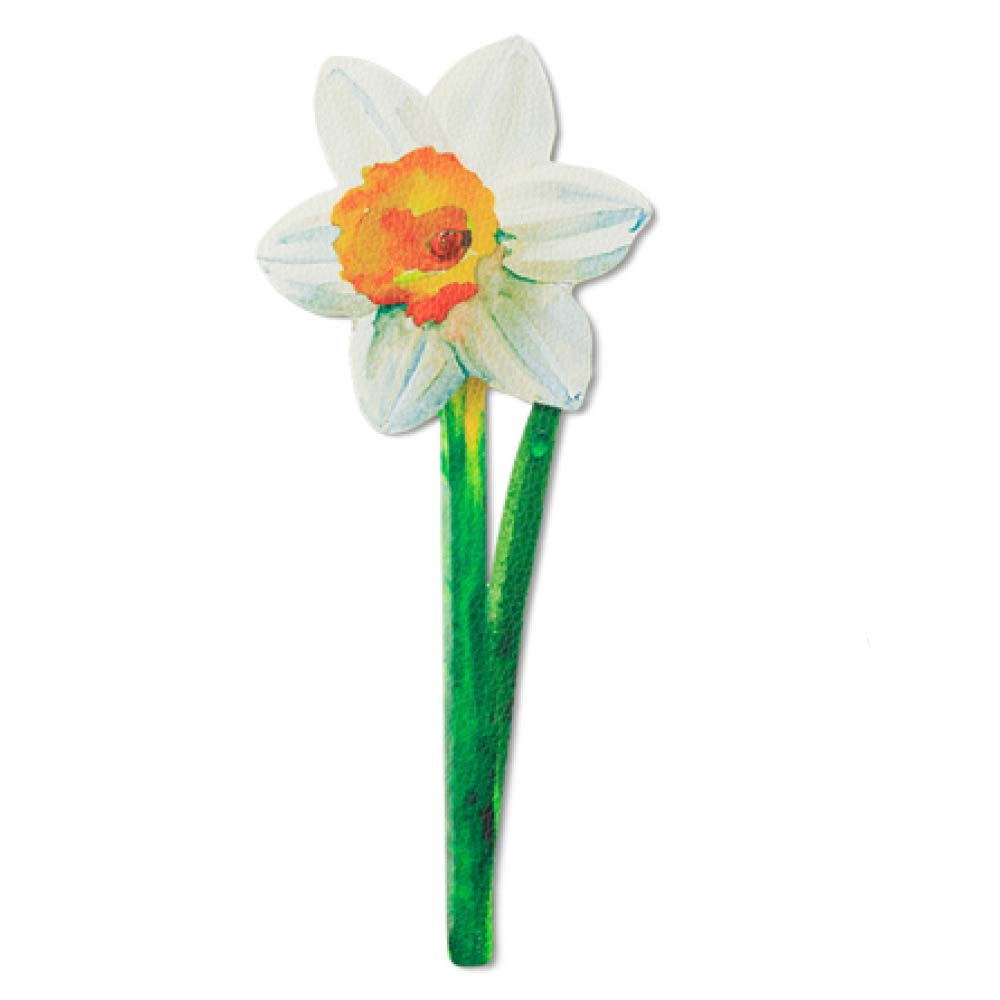 Colorful daffodil toy on a white background