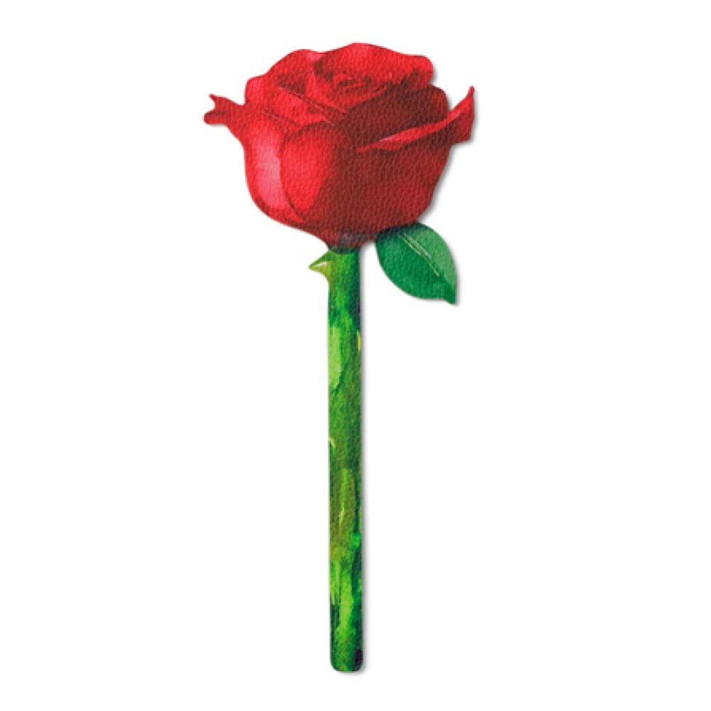 Red rose with a green stem on a white background