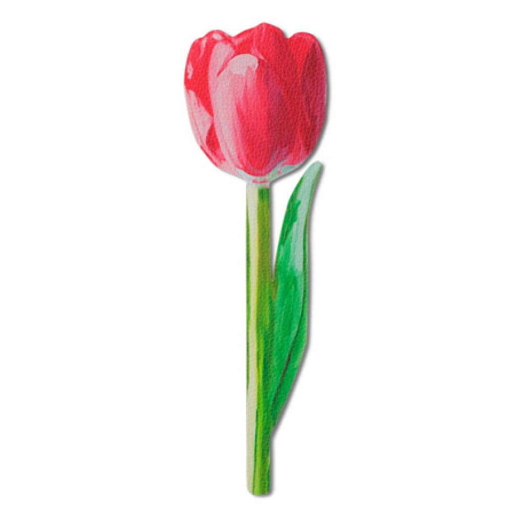 Red tulip with a green stem on a white background
