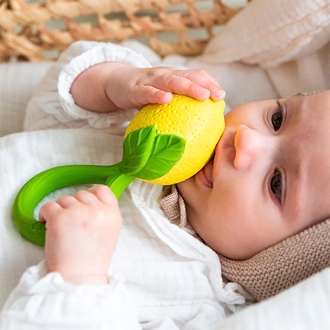 Lemon Gift Set Teething Toys for Babies
