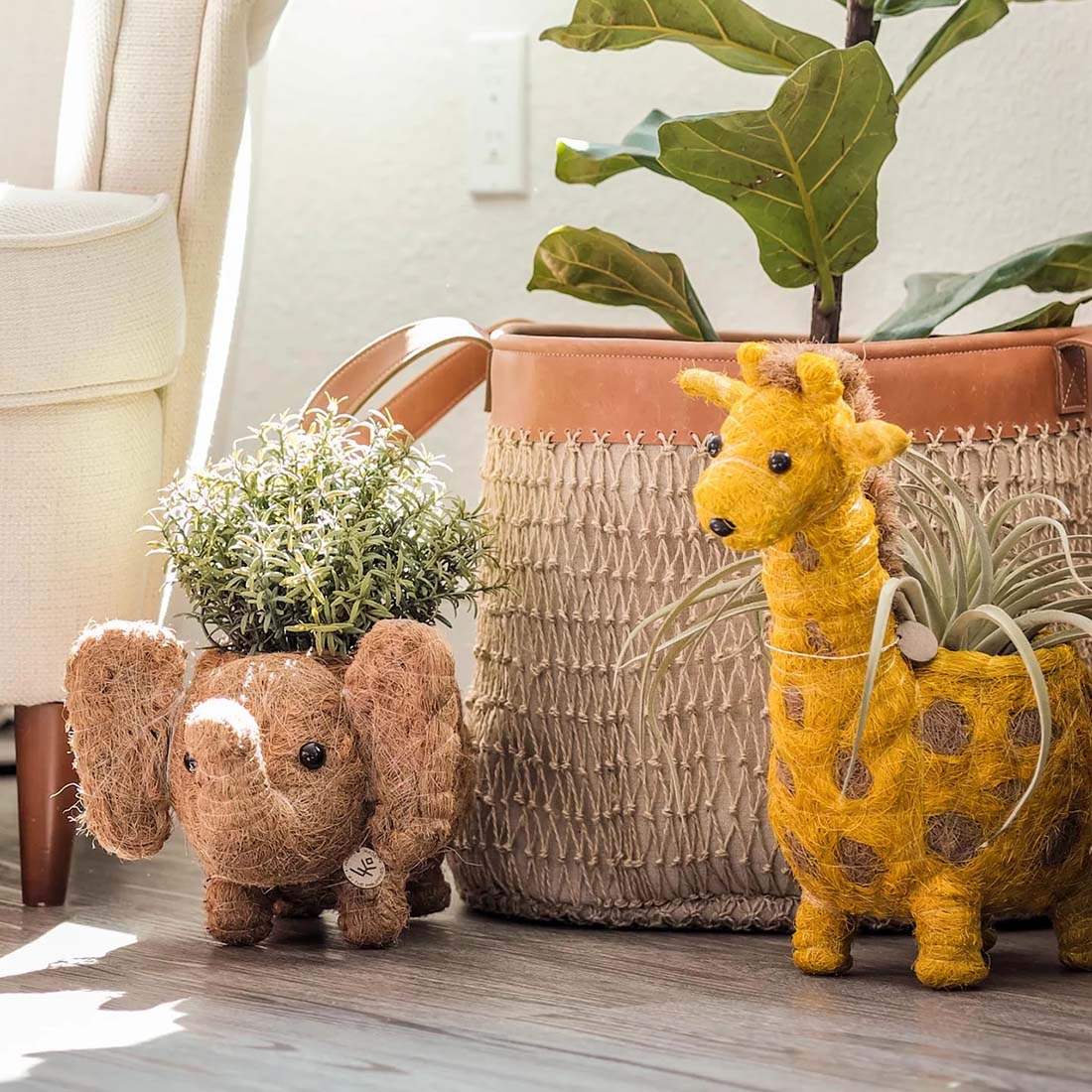 Elephant Coco Coir Planter