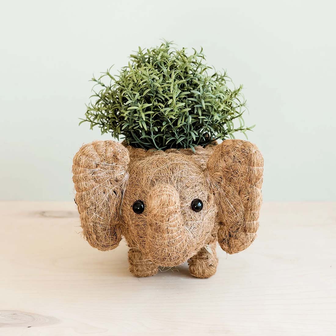 Elephant Coco Coir Planter