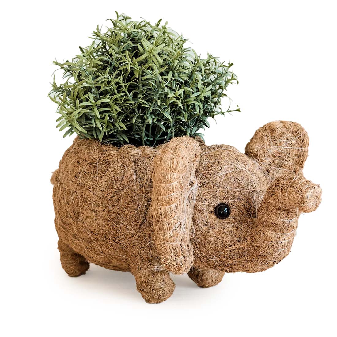 Elephant Coco Coir Planter