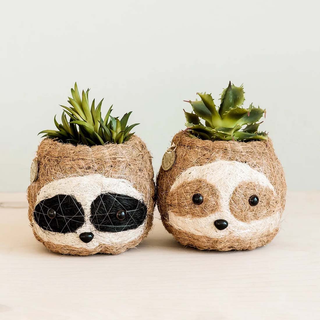 Small Sloth Coco Coir Planter