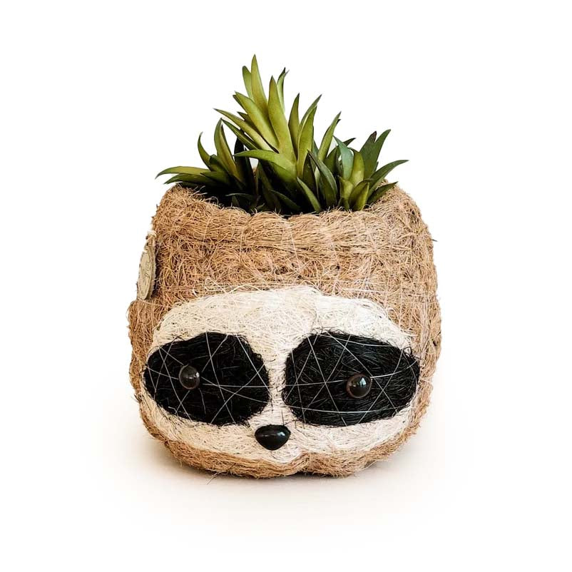 Small Sloth Coco Coir Planter