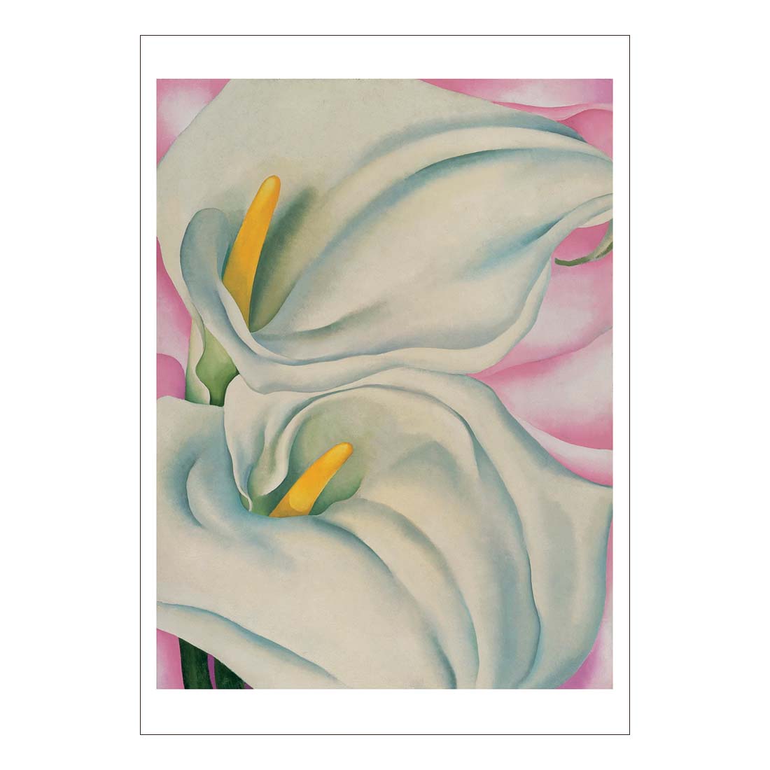 Georgia O’Keeffe: Two Calla Lilies on Pink Small Boxed Notecards