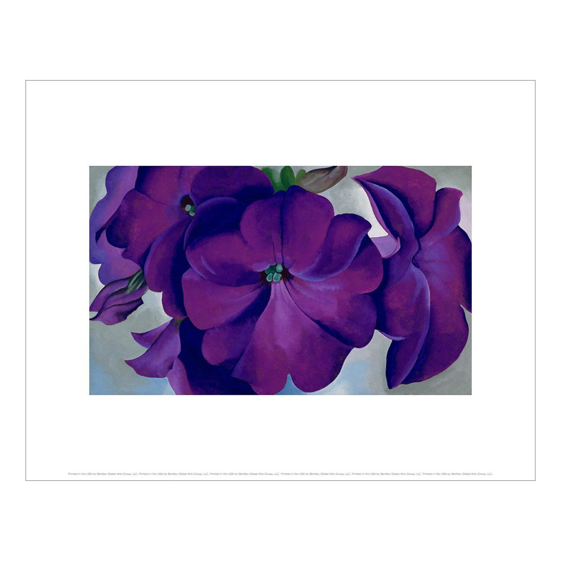 O'Keeffe Petunias Print