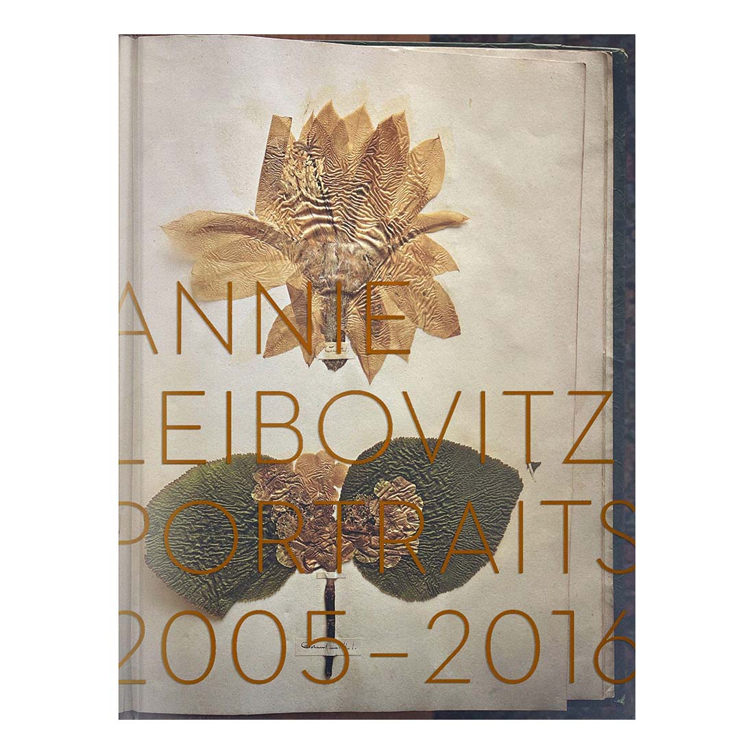 Veilingopbrengsten van Annie Leibovitz