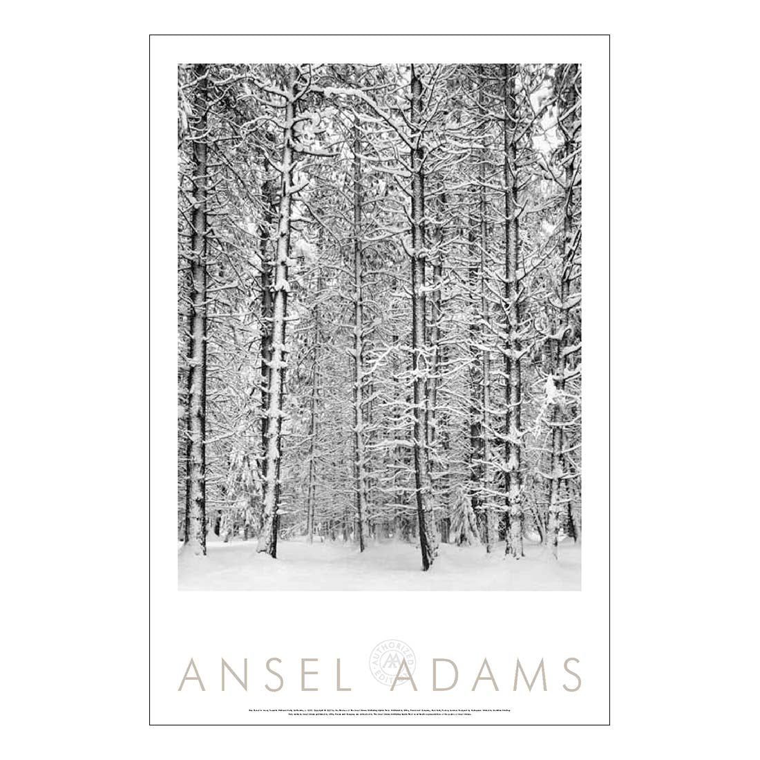 Ansel Adams Pine Forest in Snow, Yosemite National Park, California PosterAnsel Adams Pine Forest in Snow, Yosemite National Park, California Poster